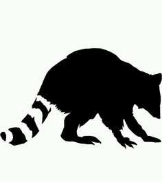 236x265 Coon Hunting With My Dad ) Things I Love