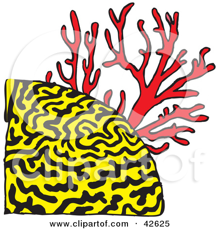450x470 Coral Clip Art Clipart