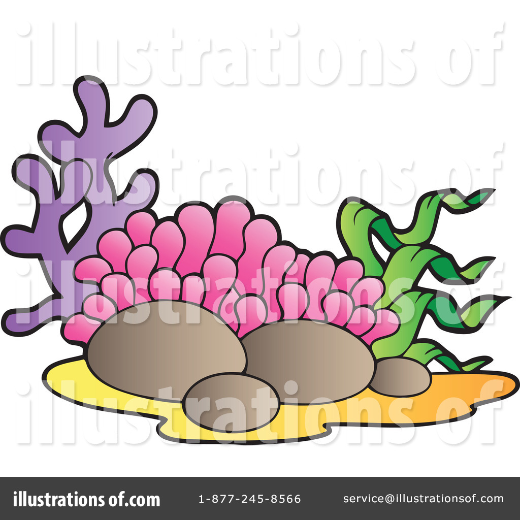 1024x1024 Coral Clipart
