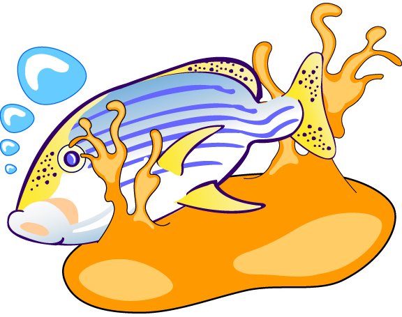 576x455 Coral Clip Art Download