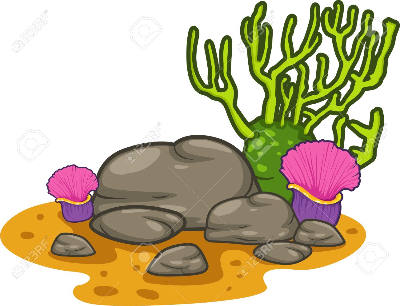 1300x995 Coral Clipart Cartoon