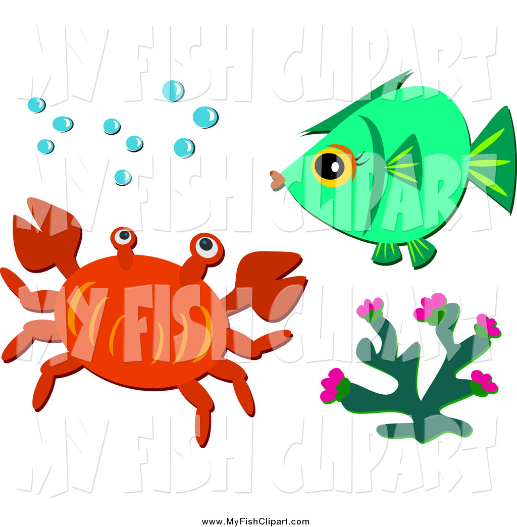 1024x1044 Royalty Free Coral Stock Fish Designs