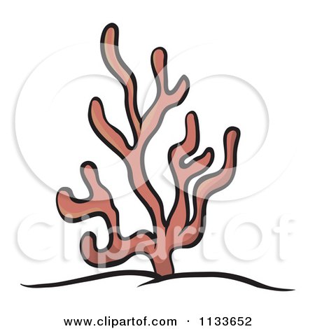450x470 Ocean Coral Clipart