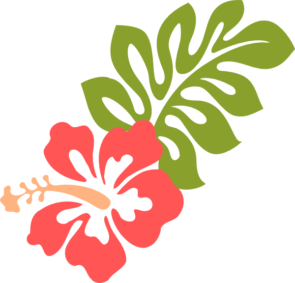 600x576 Coral Hibiscus Clip Art