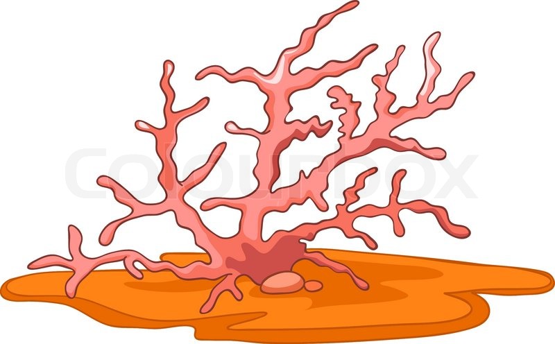 800x496 Coral Reef Clip Art Chadholtz
