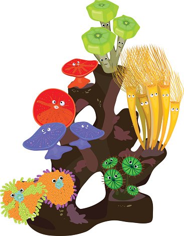 367x470 Coral Reef Stock Vectors