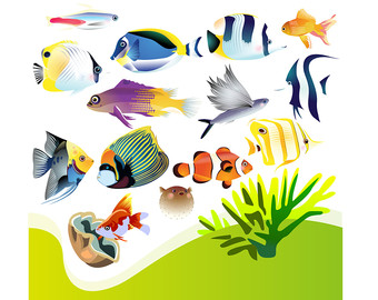 340x270 Aquarium Clipart Etsy
