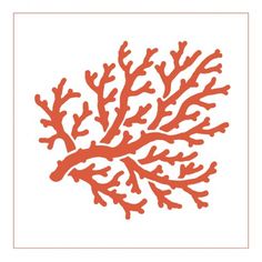 236x236 Reef Clip Art Related Keywords Amp Suggestions