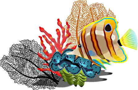 446x293 Top 84 School Of Fish Clip Art