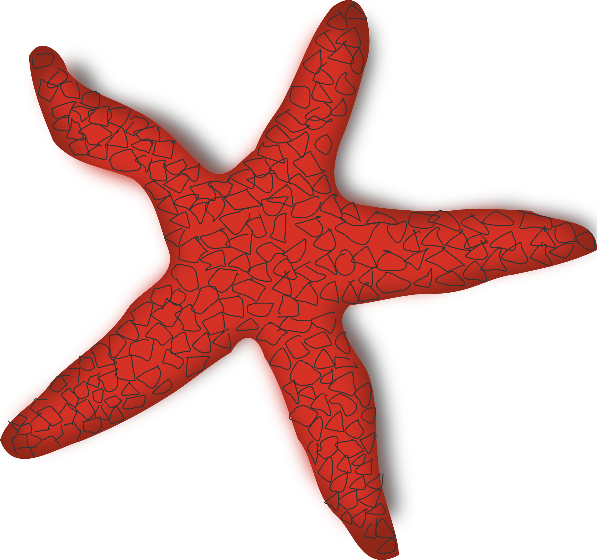 1979x1858 Free Starfish Clipart Chadholtz