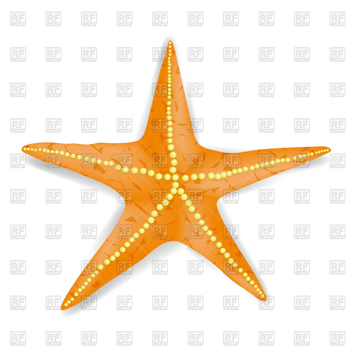 1200x1200 Orange Starfish Royalty Free Vector Clip Art Image