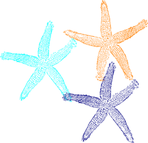 298x288 Starfish Cliparts Vector