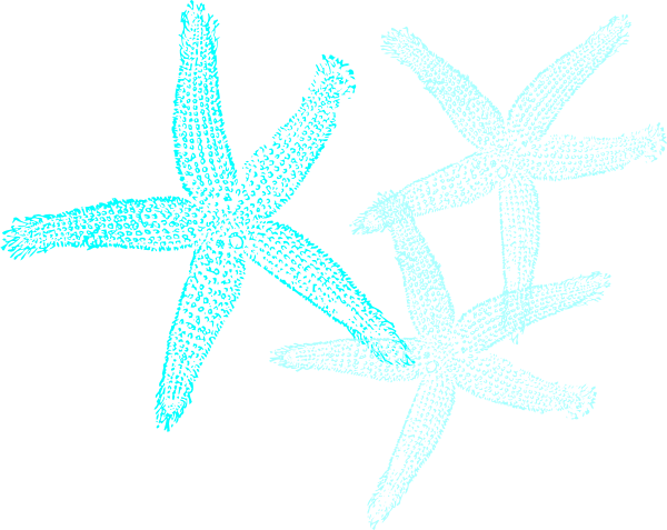 600x477 Starfish Prints Clip Art