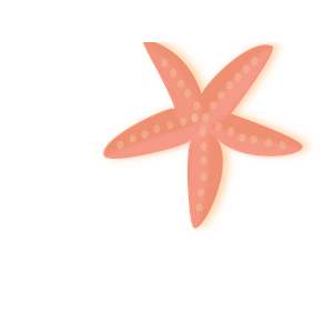 300x300 Starfish Clipart Coral
