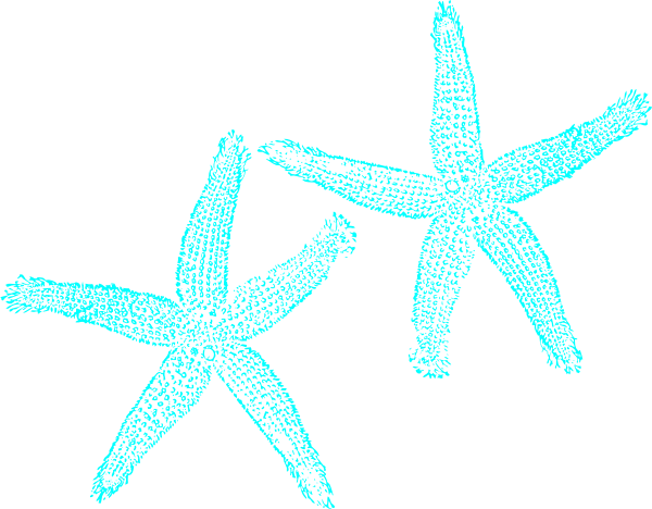600x468 Turquoise Starfish Clipart