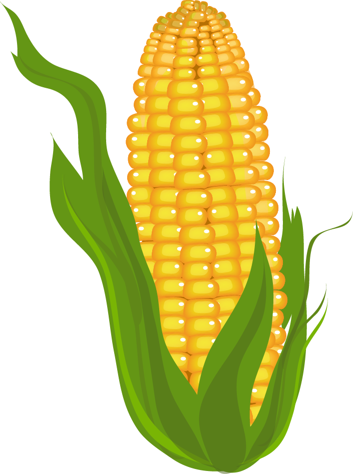 705x945 Corn Clip Art Free Free Clipart Images 2