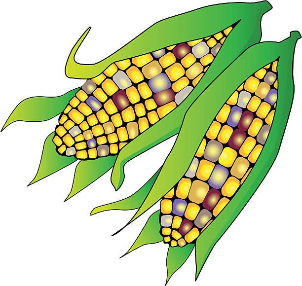 Corn Clipart | Free download on ClipArtMag