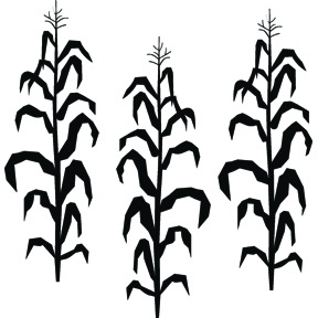 288x288 Corn Stalk Clipart Black And White Letters