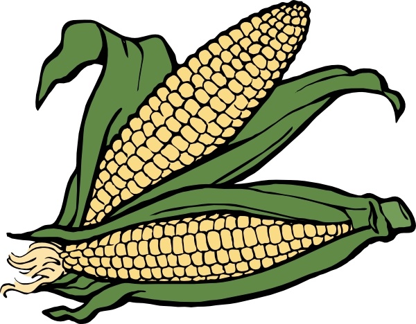 600x468 Corn Clipart Black And White Free Images