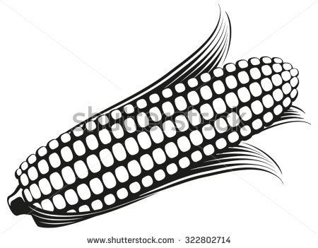 450x351 Drawn Corn Black And White