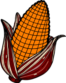 264x332 Thanksgiving Corn Clip Art Clipart