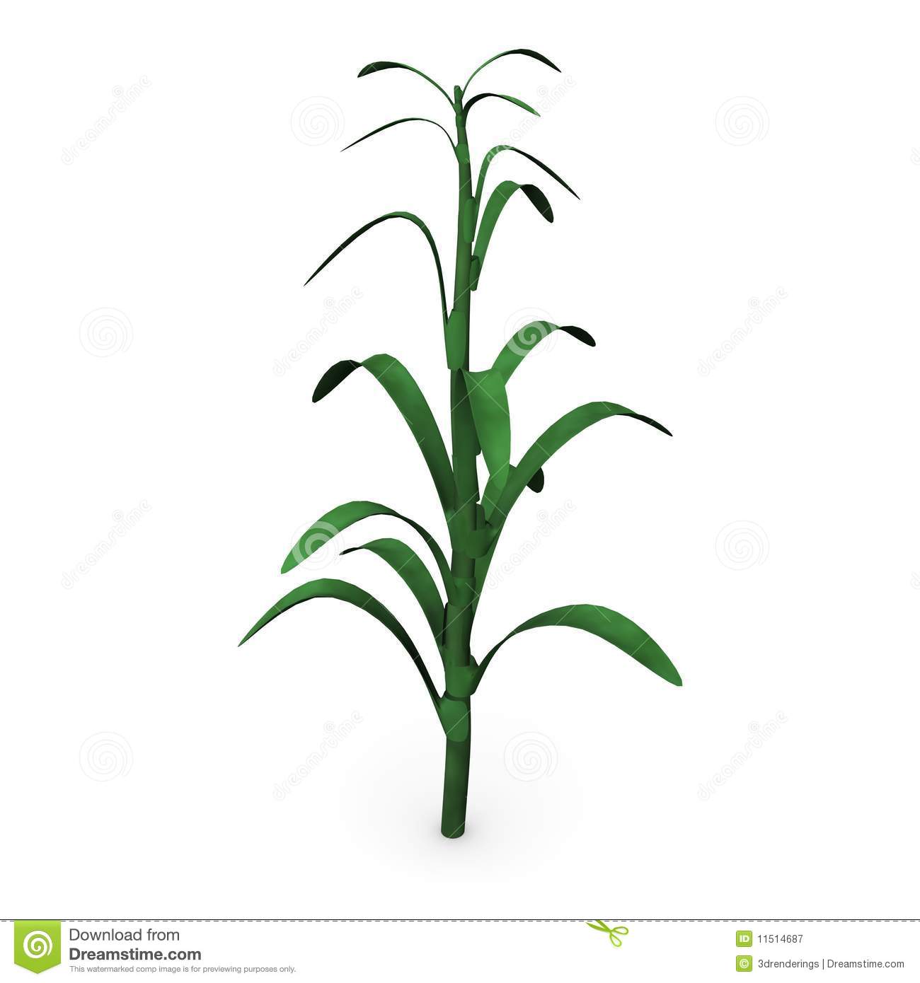 1300x1390 Corn Clipart Corn Stock