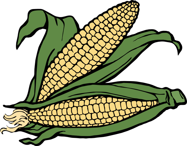 600x468 Drawn Corn Cob Clip Art