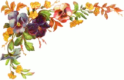 250x162 Pansy Border Corner
