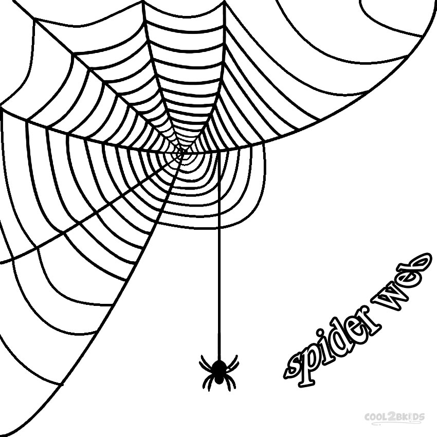 850x850 Graphics For Corner Spider Web Graphics