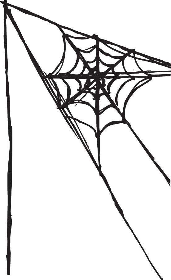 552x902 Clip Art Spider Web