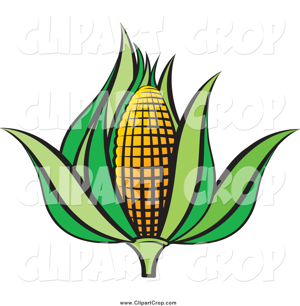 1024x1044 Corn Leaves Clip Art