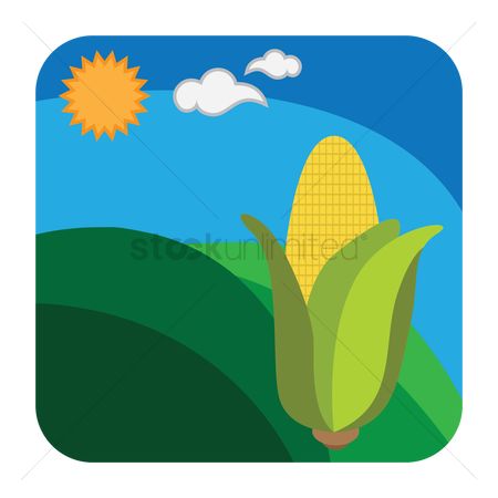 450x450 Free Corn Field Stock Vectors Stockunlimited