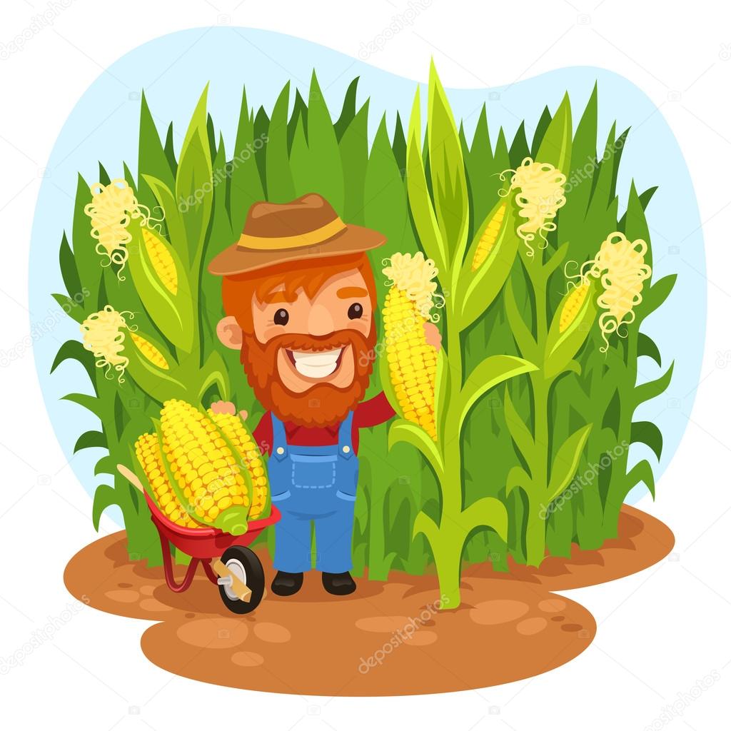 1024x1024 Harvesting Farmer In A Cornfield Stock Vector Voysla