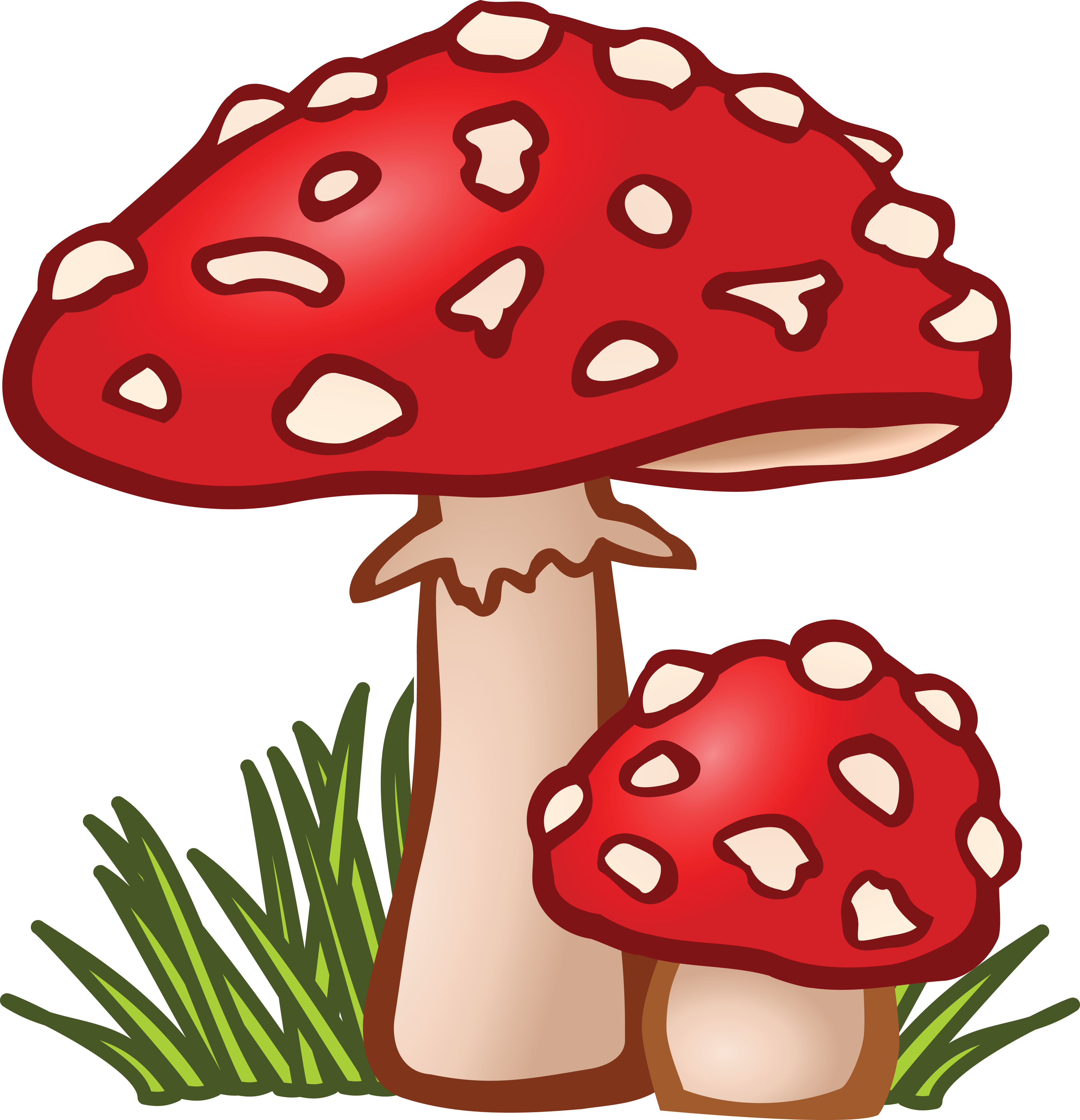 4000x4147 Mushrooms Cornucopia Clipart, Explore Pictures