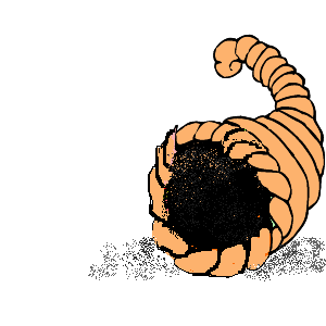 300x300 Empty Cornucopia