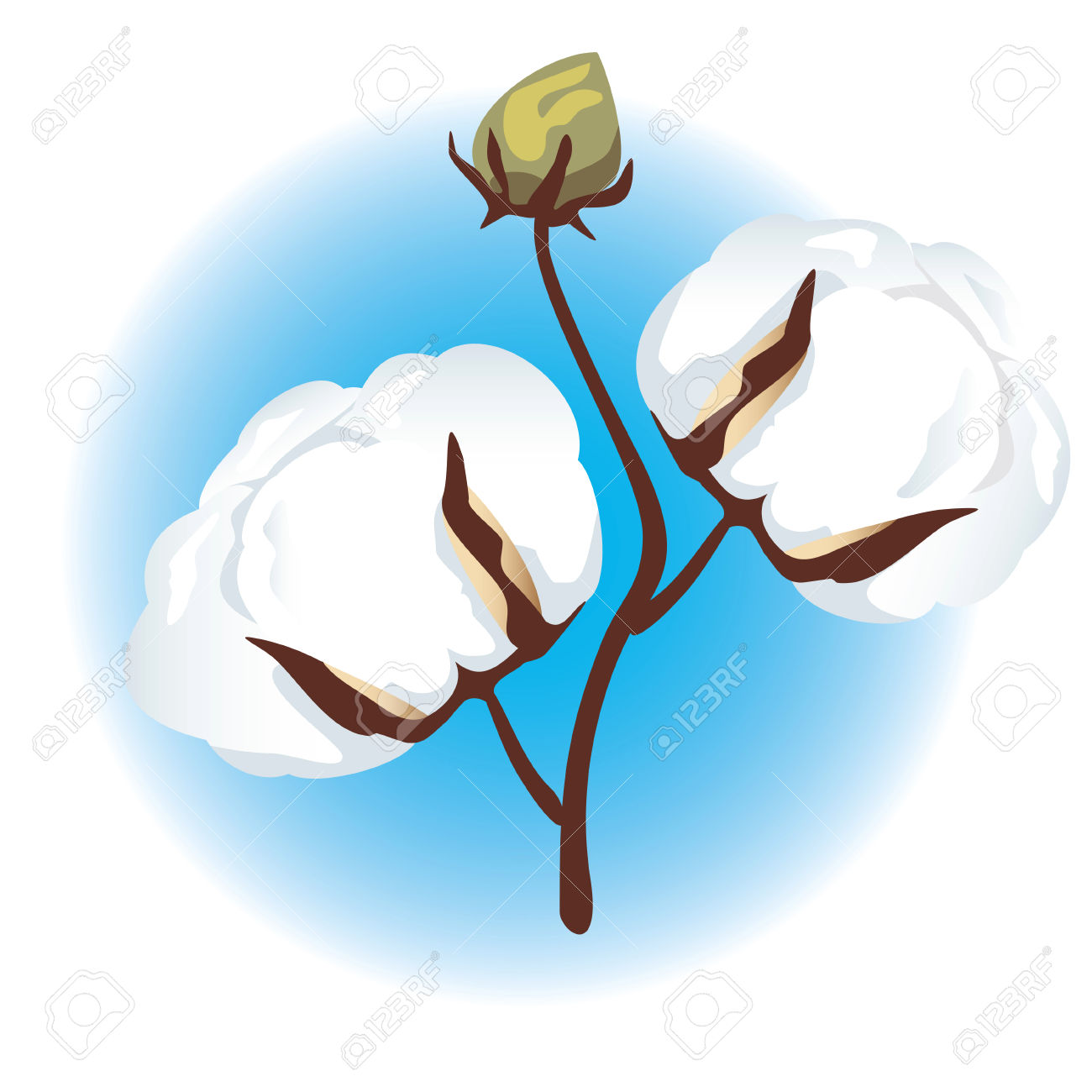 1300x1300 Cotton Clipart Cotton Field