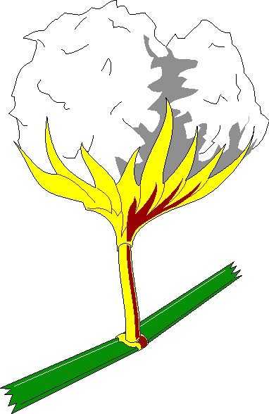 382x588 Torn Paper Edge Clipart