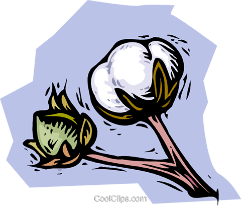 480x409 Cotton Plant Royalty Free Vector Clip Art Illustration Vc001508