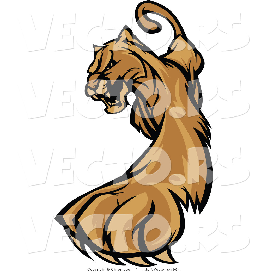 1024x1044 Vector Of A Defensive Cartoon Cougar Cautiously Walking Forward
