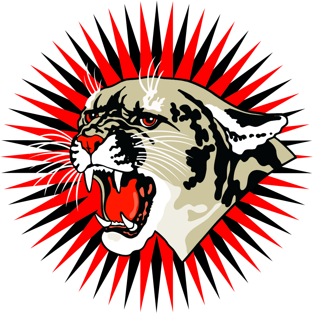 1000x1000 Cougar Clipart Free Images 4