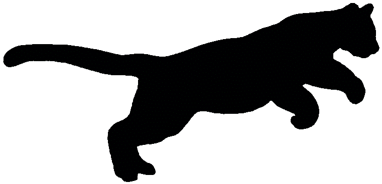 761x367 Cougar Clipart Silhouette