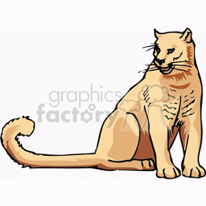 300x300 Royalty Free Golden Colored Cougar 131074 Vector Clip Art Image