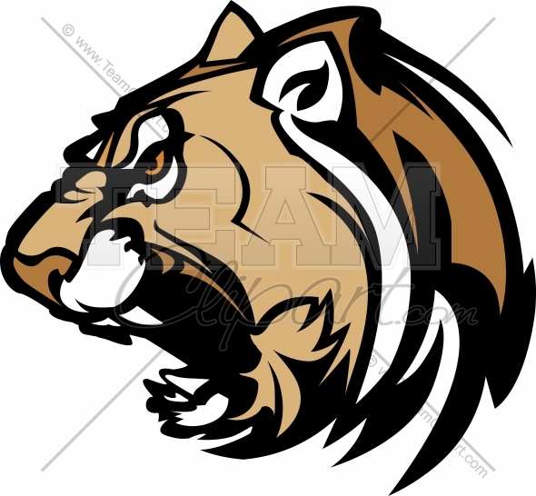 590x546 Cougar Clipart Head Image. Easy To Edit Vector Format.