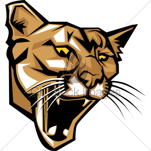 500x500 Clip Art Cougar Mascot Face Clipart