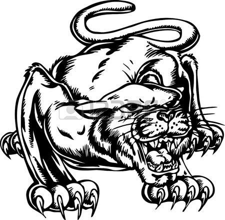 450x439 Cougar Illustration Royalty Free Cliparts, Vectors, And Stock