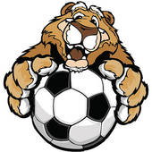 170x170 Cougar Clipart And Illustration. 1,081 Cougar Clip Art Vector Eps