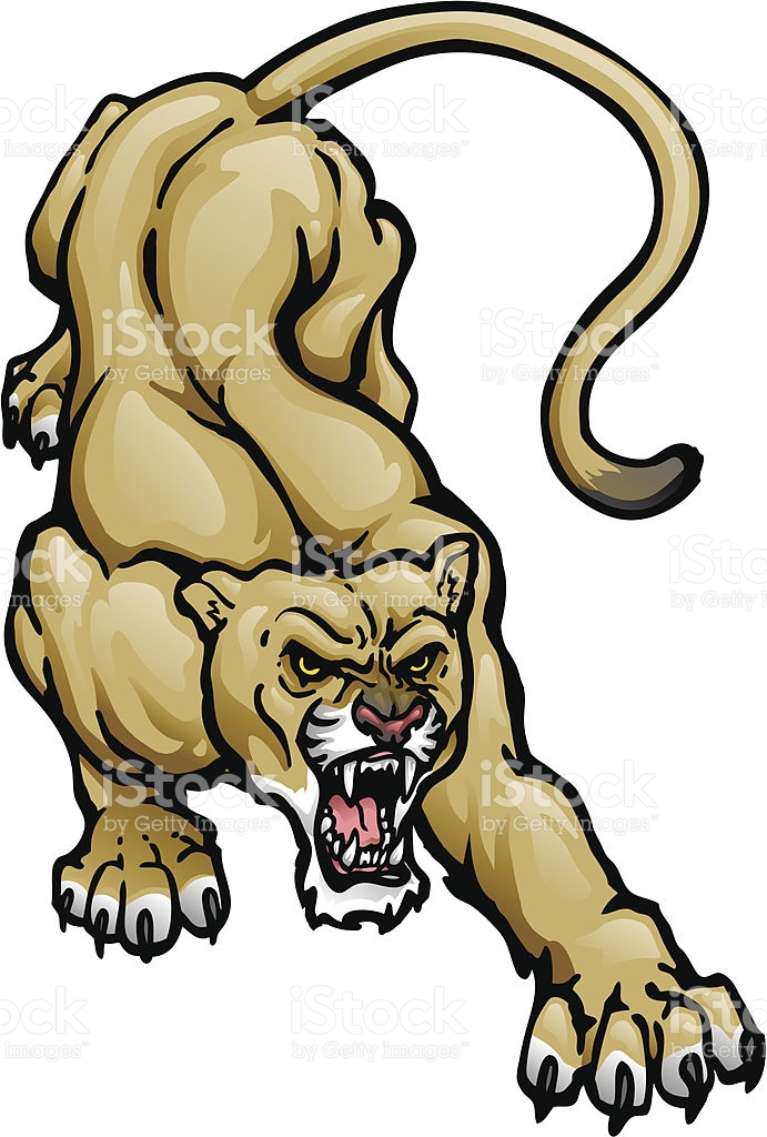 691x1024 Cougar Clipart Leopard