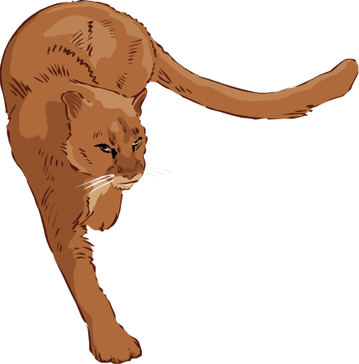 739x750 Lion Cub Clipart