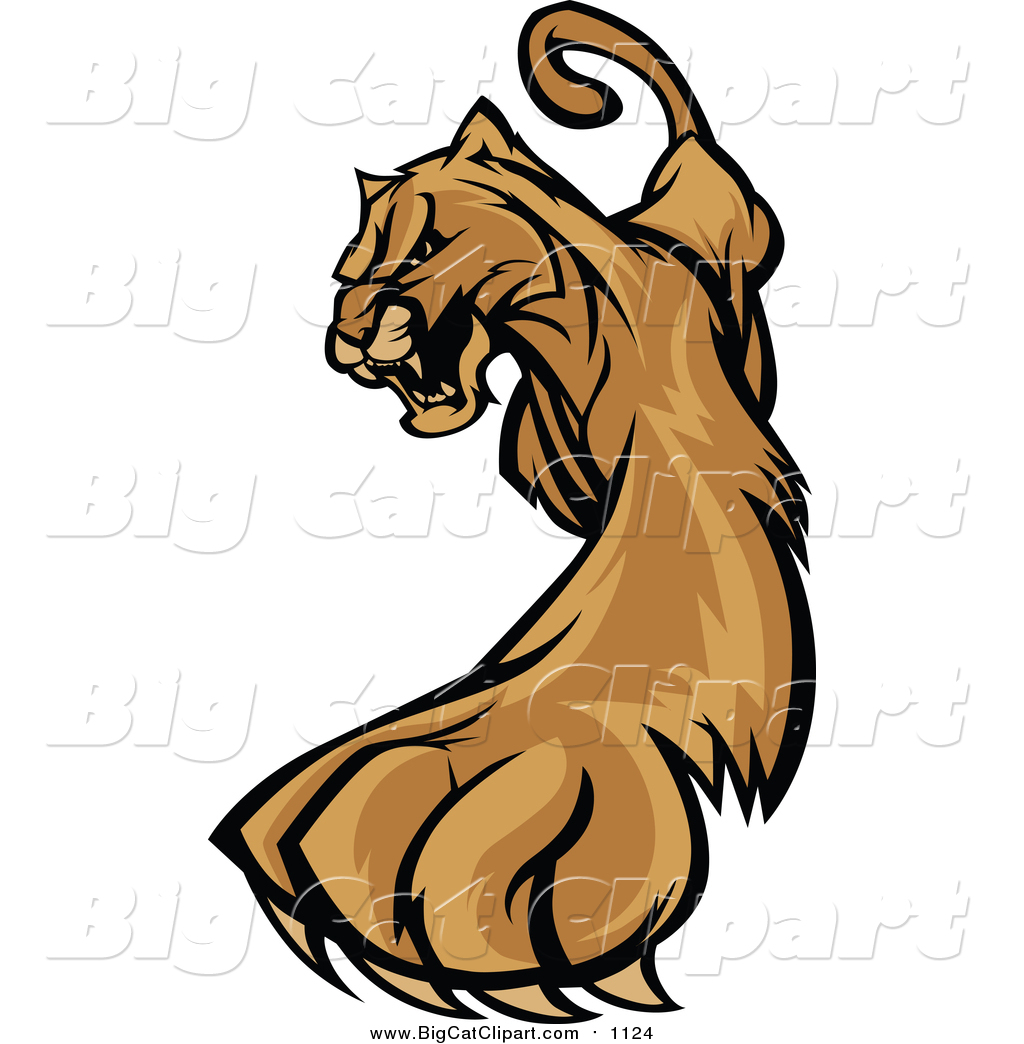 1024x1044 Big Cat Vector Clipart Of A Stalking Cougar Mascot By Chromaco