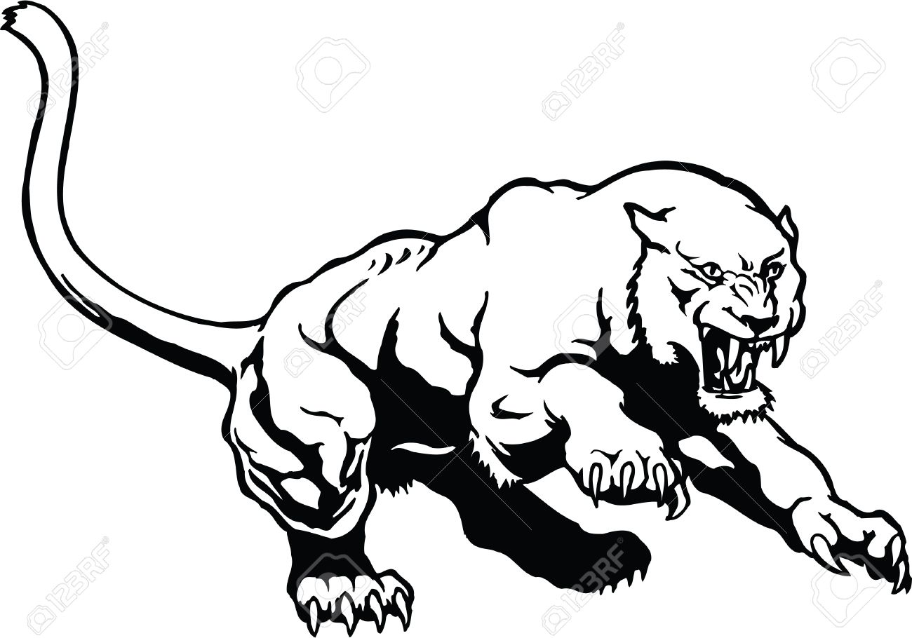 1300x910 Cougar Illustration Royalty Free Cliparts, Vectors, And Stock